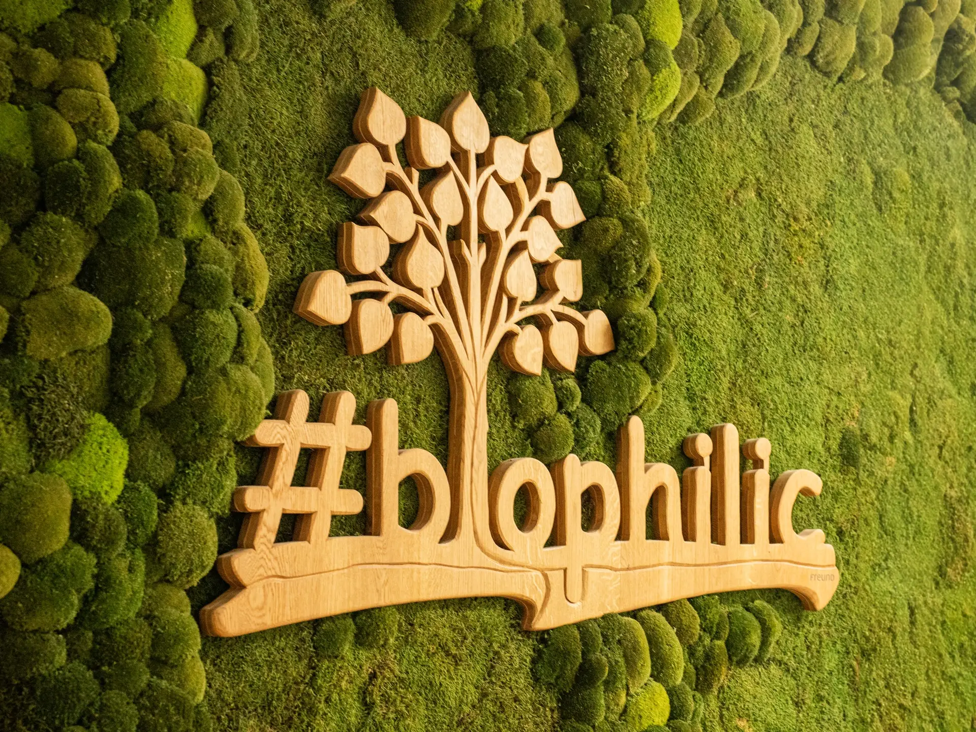 Nahaufnahme einer Mooswand